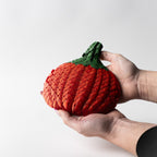 'Red Pumkin' Fidget Toy
