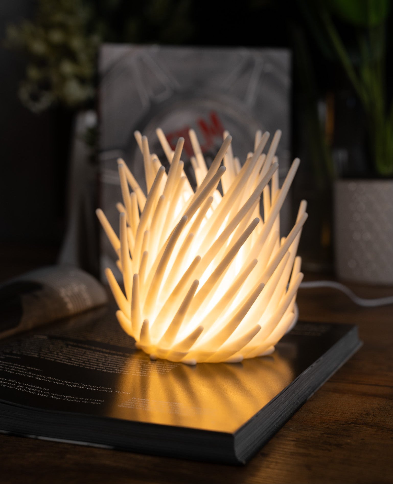 'Lava Coral' Λάμπα γραφείου