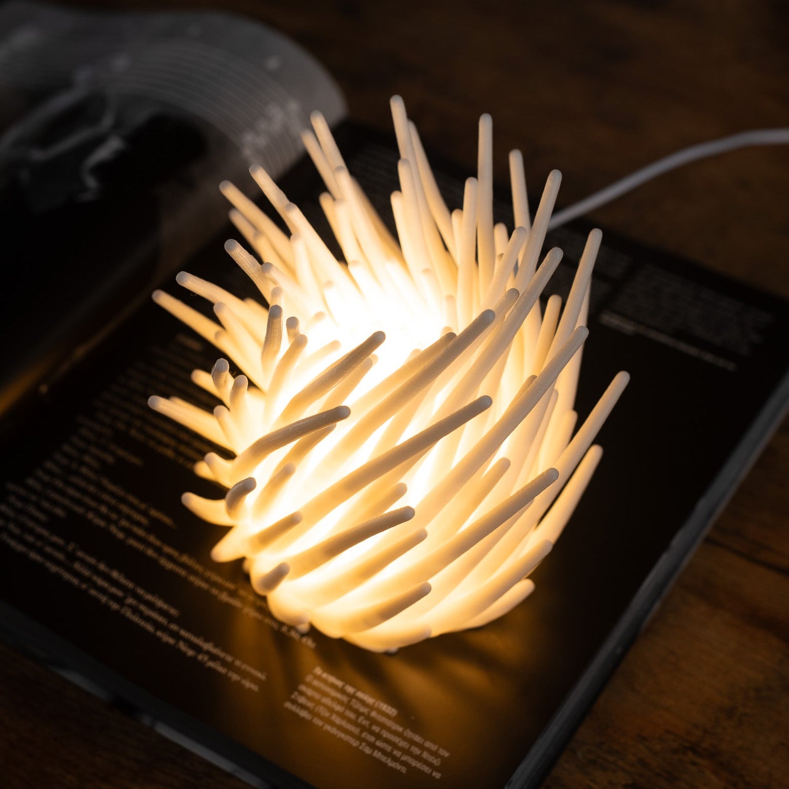 'Lava Coral' Λάμπα γραφείου