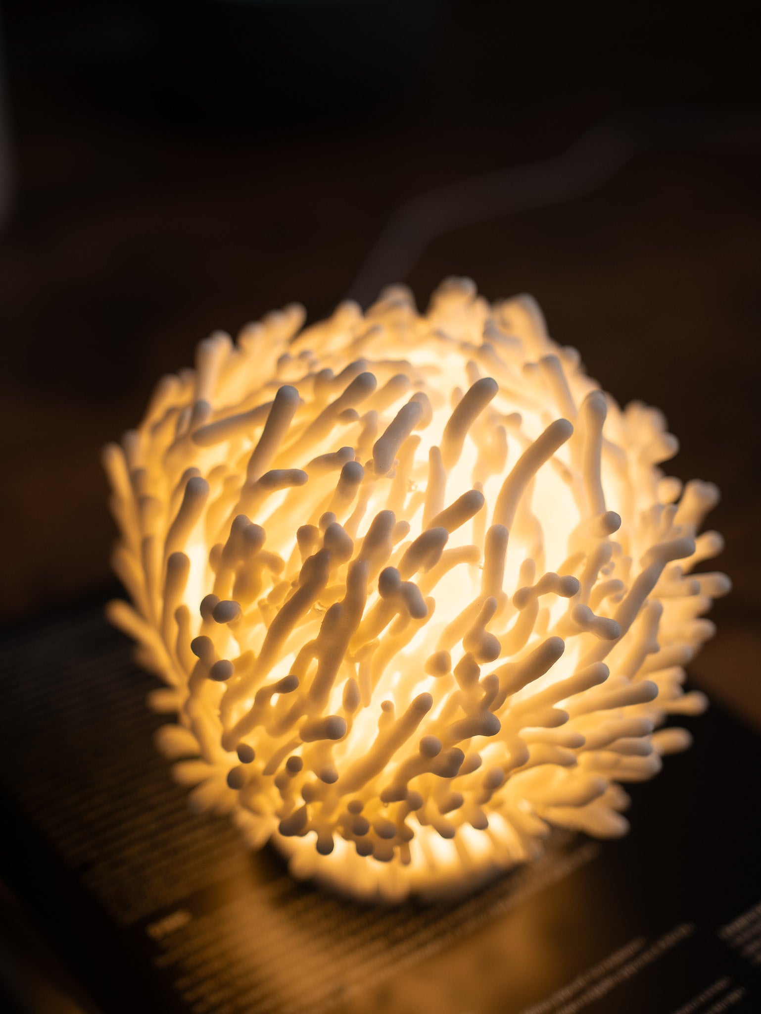 'Κοράλι' Λάμπα γραφείου